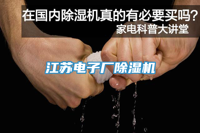 江蘇電子廠(chǎng)除濕機
