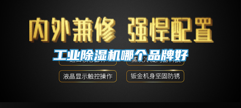 工業(yè)除濕機哪個(gè)品牌好