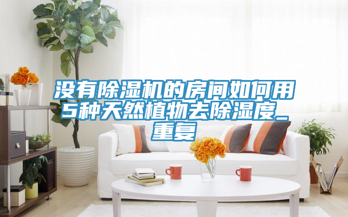 沒(méi)有除濕機的房間如何用5種天然植物去除濕度_重復