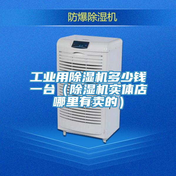工業(yè)用除濕機多少錢(qián)一臺（除濕機實(shí)體店哪里有賣(mài)的）