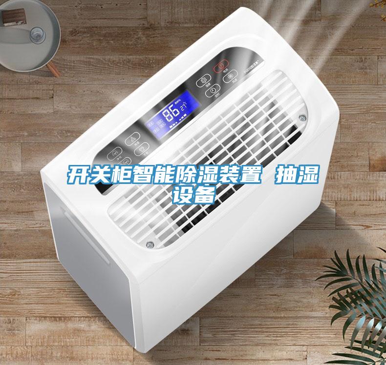 開(kāi)關(guān)柜智能除濕裝置 抽濕設備