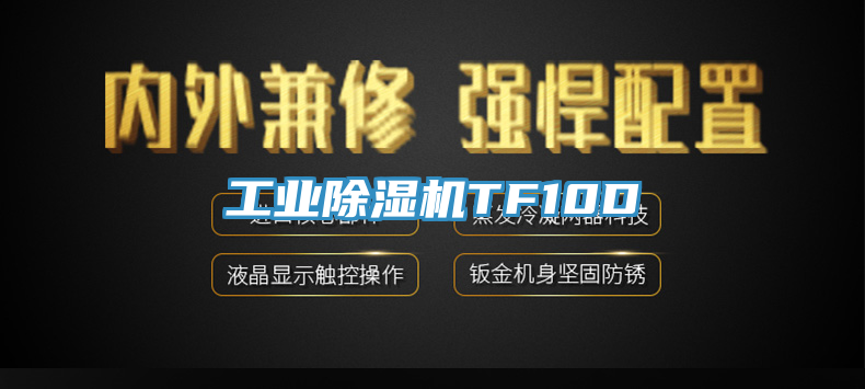 工業(yè)除濕機TF10D