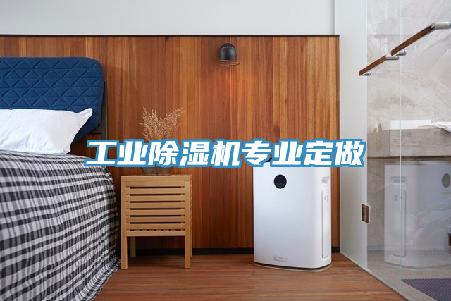 工業(yè)除濕機專(zhuān)業(yè)定做