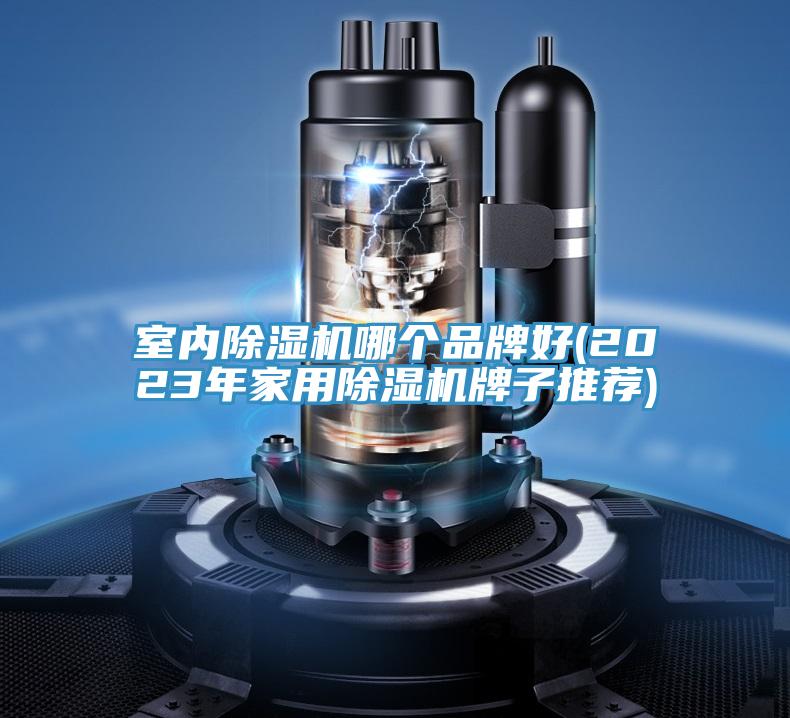 室內除濕機哪個(gè)品牌好(2023年家用除濕機牌子推薦)
