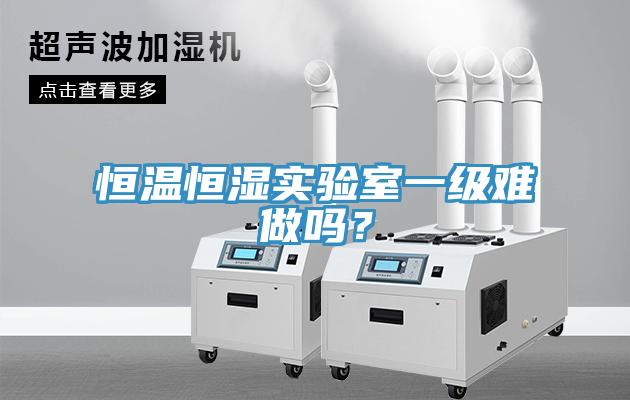 恒溫恒濕實(shí)驗室一級難做嗎？