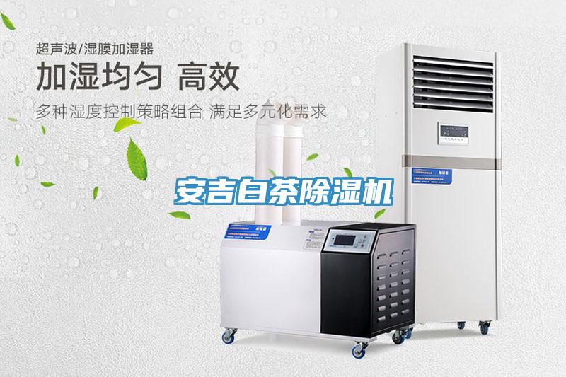 安吉白茶除濕機