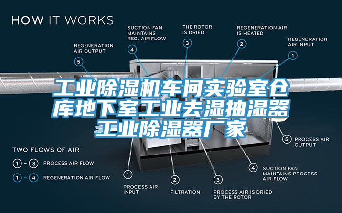 工業(yè)除濕機車(chē)間實(shí)驗室倉庫地下室工業(yè)去濕抽濕器工業(yè)除濕器廠(chǎng)家