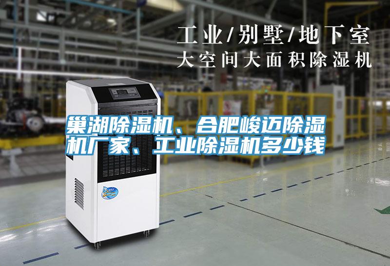 巢湖除濕機、合肥峻邁除濕機廠(chǎng)家、工業(yè)除濕機多少錢(qián)