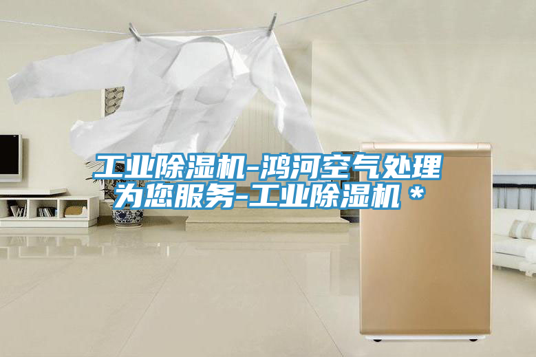 工業(yè)除濕機-鴻河空氣處理為您服務(wù)-工業(yè)除濕機＊