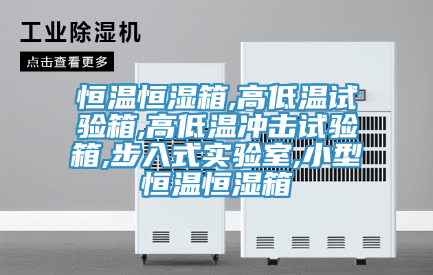 恒溫恒濕箱,高低溫試驗箱,高低溫沖擊試驗箱,步入式實(shí)驗室,小型恒溫恒濕箱