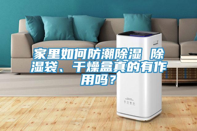 家里如何防潮除濕 除濕袋、干燥盒真的有作用嗎？