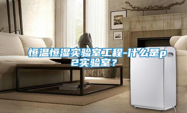 恒溫恒濕實(shí)驗室工程-什么是p2實(shí)驗室？