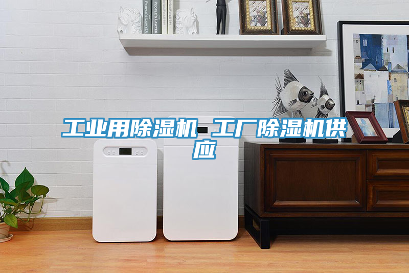 工業(yè)用除濕機 工廠(chǎng)除濕機供應