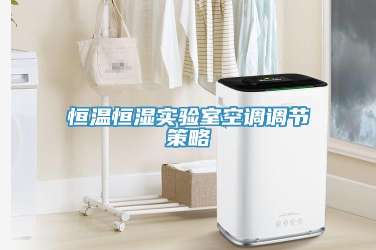 恒溫恒濕實(shí)驗室空調調節策略