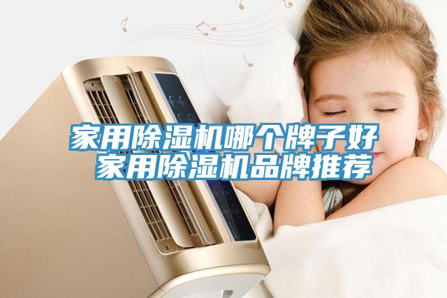 家用除濕機哪個(gè)牌子好 家用除濕機品牌推薦