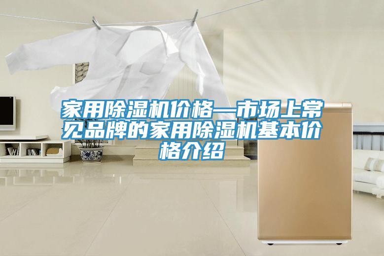 家用除濕機價(jià)格—市場(chǎng)上常見(jiàn)品牌的家用除濕機基本價(jià)格介紹