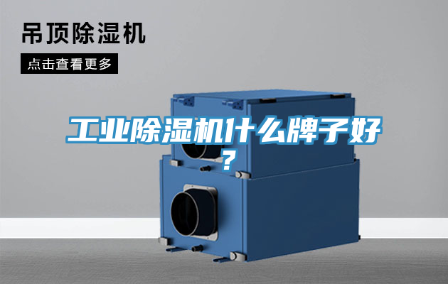 工業(yè)除濕機什么牌子好？