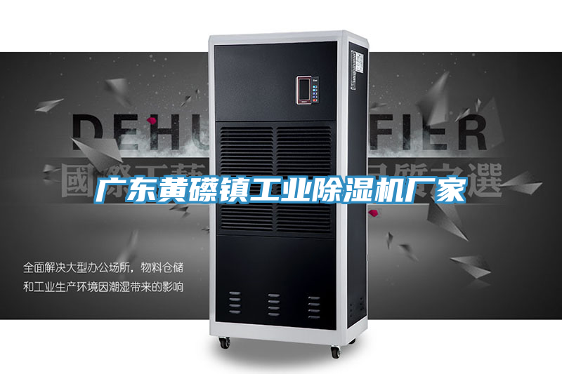 廣東黃礤鎮工業(yè)除濕機廠(chǎng)家