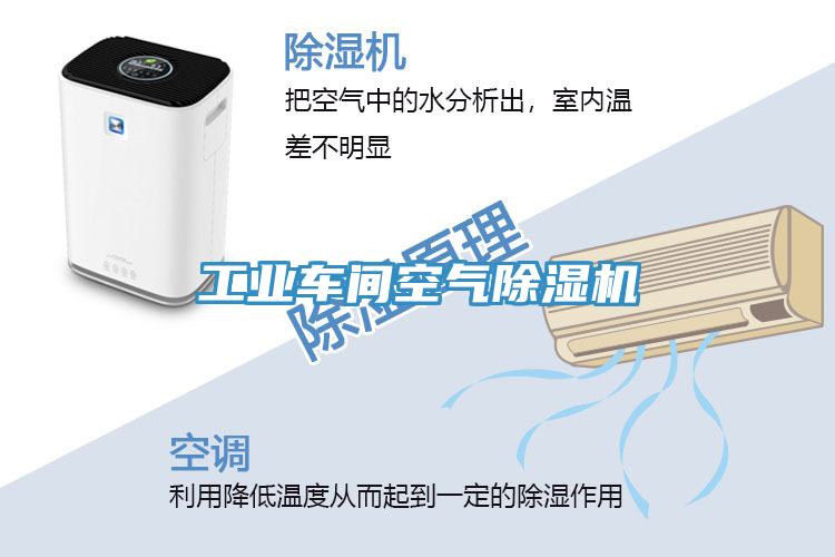 工業(yè)車(chē)間空氣除濕機