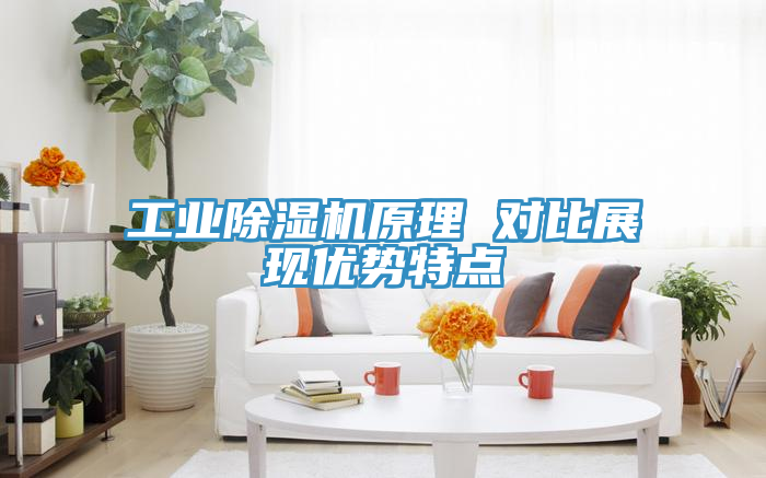工業(yè)除濕機原理 對比展現優(yōu)勢特點(diǎn)