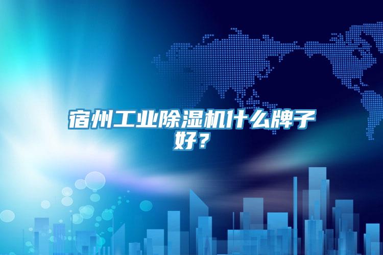 宿州工業(yè)除濕機什么牌子好？