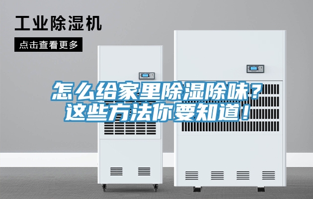 怎么給家里除濕除味？這些方法你要知道！