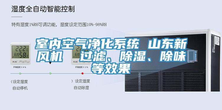 室內空氣凈化系統 山東新風(fēng)機  過(guò)濾、除濕、除味等效果