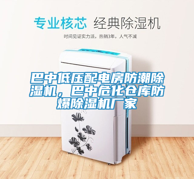 巴中低壓配電房防潮除濕機，巴中?；瘋}庫防爆除濕機廠(chǎng)家