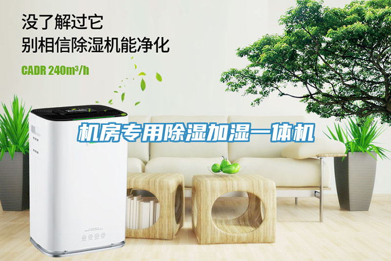 機房專(zhuān)用除濕加濕一體機