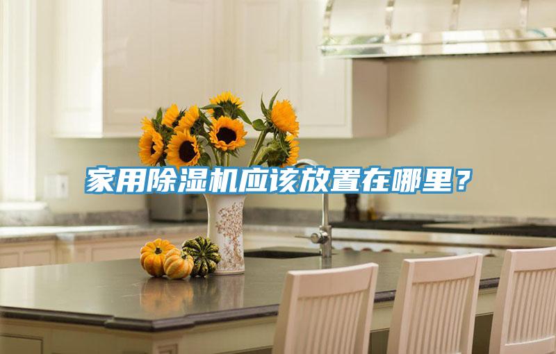家用除濕機應該放置在哪里？