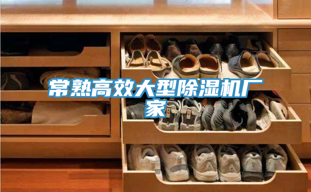 常熟高效大型除濕機廠(chǎng)家