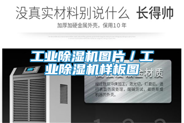 工業(yè)除濕機圖片／工業(yè)除濕機樣板圖