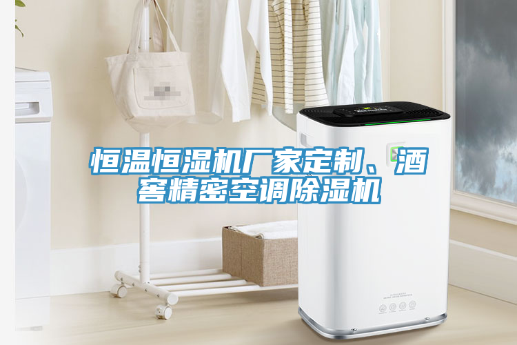 恒溫恒濕機廠(chǎng)家定制、酒窖精密空調除濕機