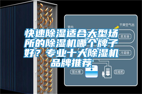 快速除濕適合大型場(chǎng)所的除濕機哪個(gè)牌子好？專(zhuān)業(yè)十大除濕機品牌推薦