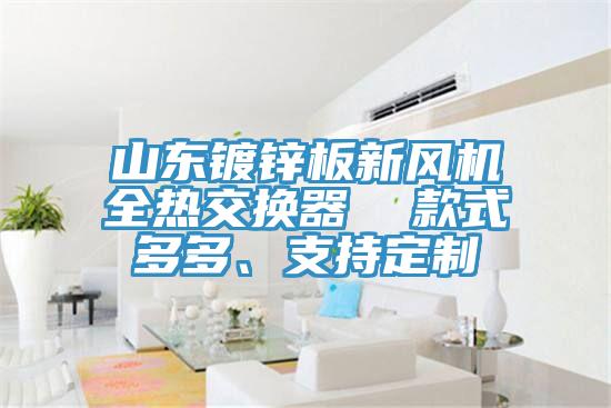 山東鍍鋅板新風(fēng)機全熱交換器  款式多多、支持定制