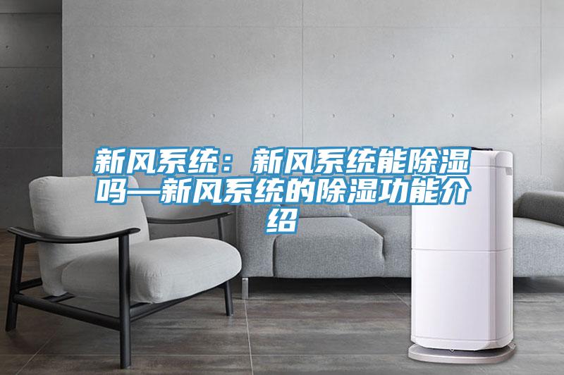 新風(fēng)系統：新風(fēng)系統能除濕嗎—新風(fēng)系統的除濕功能介紹