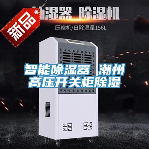 智能除濕器 潮州高壓開(kāi)關(guān)柜除濕