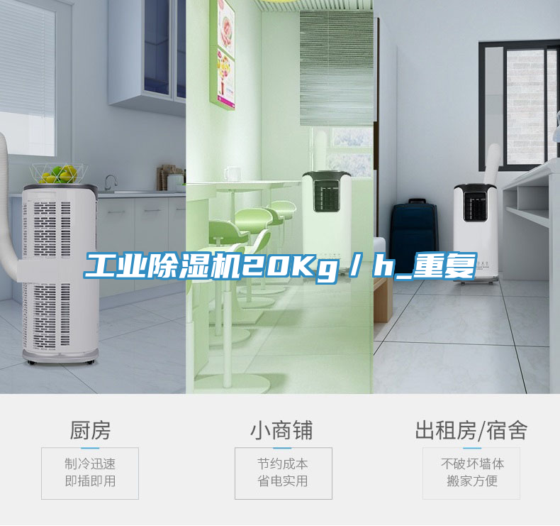 工業(yè)除濕機20Kg／h_重復
