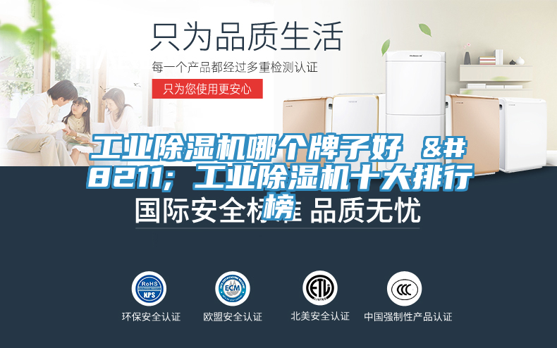 工業(yè)除濕機哪個(gè)牌子好 – 工業(yè)除濕機十大排行榜