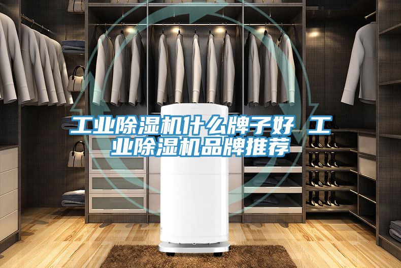 工業(yè)除濕機什么牌子好 工業(yè)除濕機品牌推薦