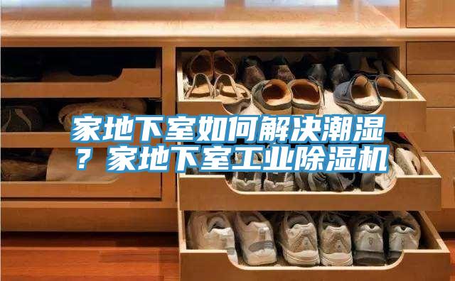 家地下室如何解決潮濕？家地下室工業(yè)除濕機