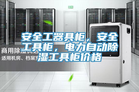 安全工器具柜，安全工具柜，電力自動(dòng)除濕工具柜價(jià)格