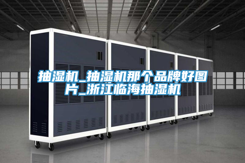 抽濕機_抽濕機那個(gè)品牌好圖片_浙江臨海抽濕機