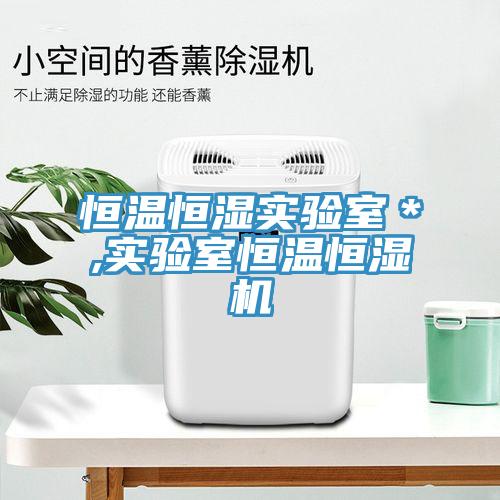 恒溫恒濕實(shí)驗室＊,實(shí)驗室恒溫恒濕機
