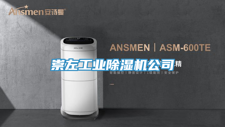 崇左工業(yè)除濕機公司