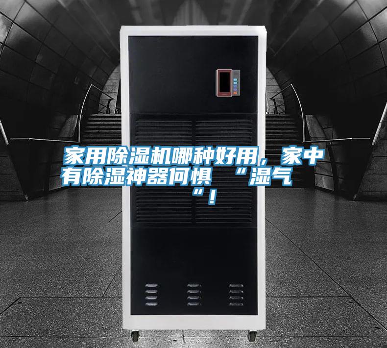 家用除濕機哪種好用，家中有除濕神器何懼 “濕氣 “！