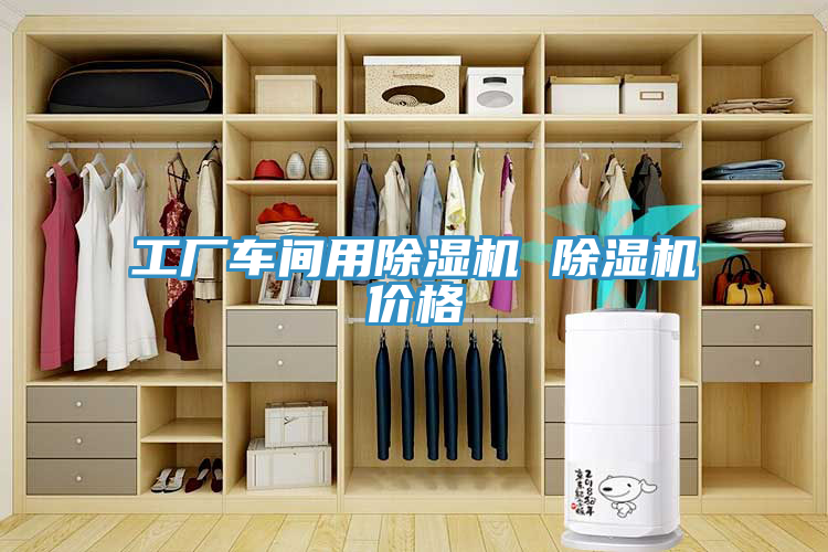 工廠(chǎng)車(chē)間用除濕機 除濕機價(jià)格