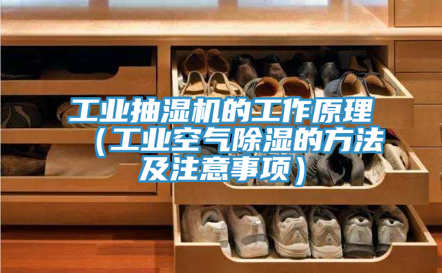 工業(yè)抽濕機的工作原理（工業(yè)空氣除濕的方法及注意事項）