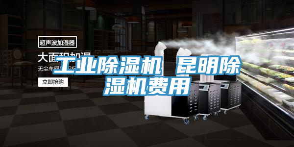 工業(yè)除濕機 昆明除濕機費用
