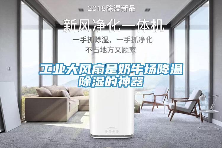 工業(yè)大風(fēng)扇是奶牛場(chǎng)降溫除濕的神器